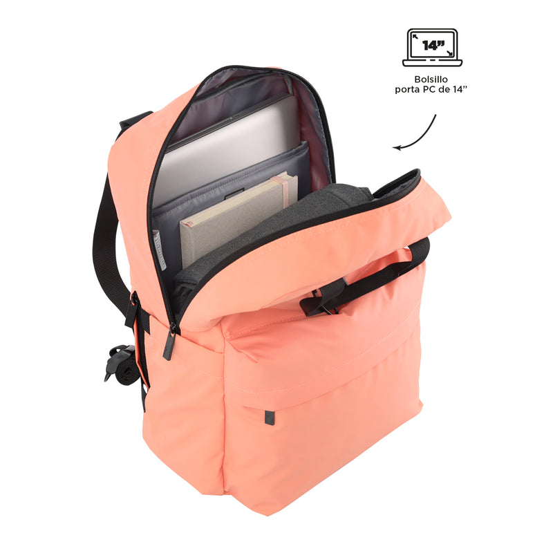 MORRAL BILLY - Color: Coral