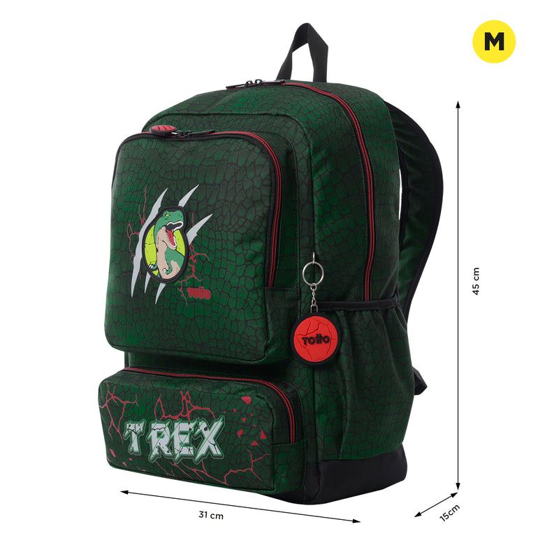 Morral para Niño Rex Dino Grande Verde